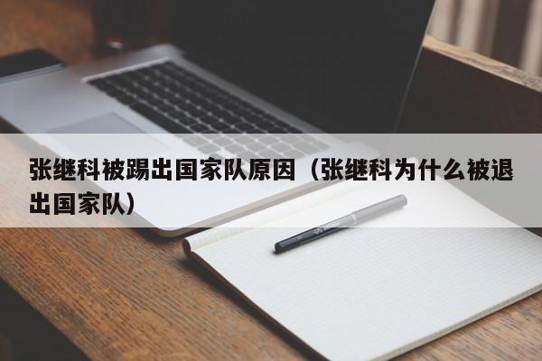 张继科被踢出国家队原因（张继科为什么被退出国家队）